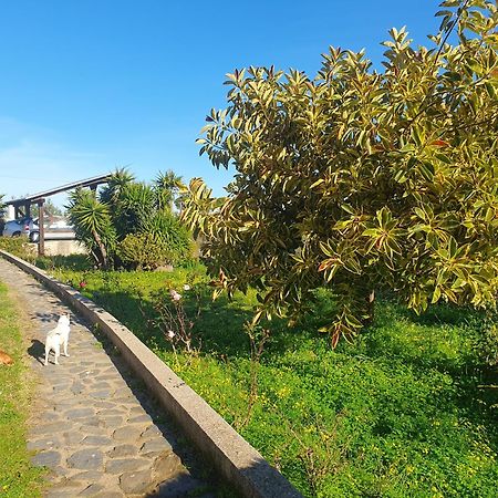 Asinara Sassari Exterior foto