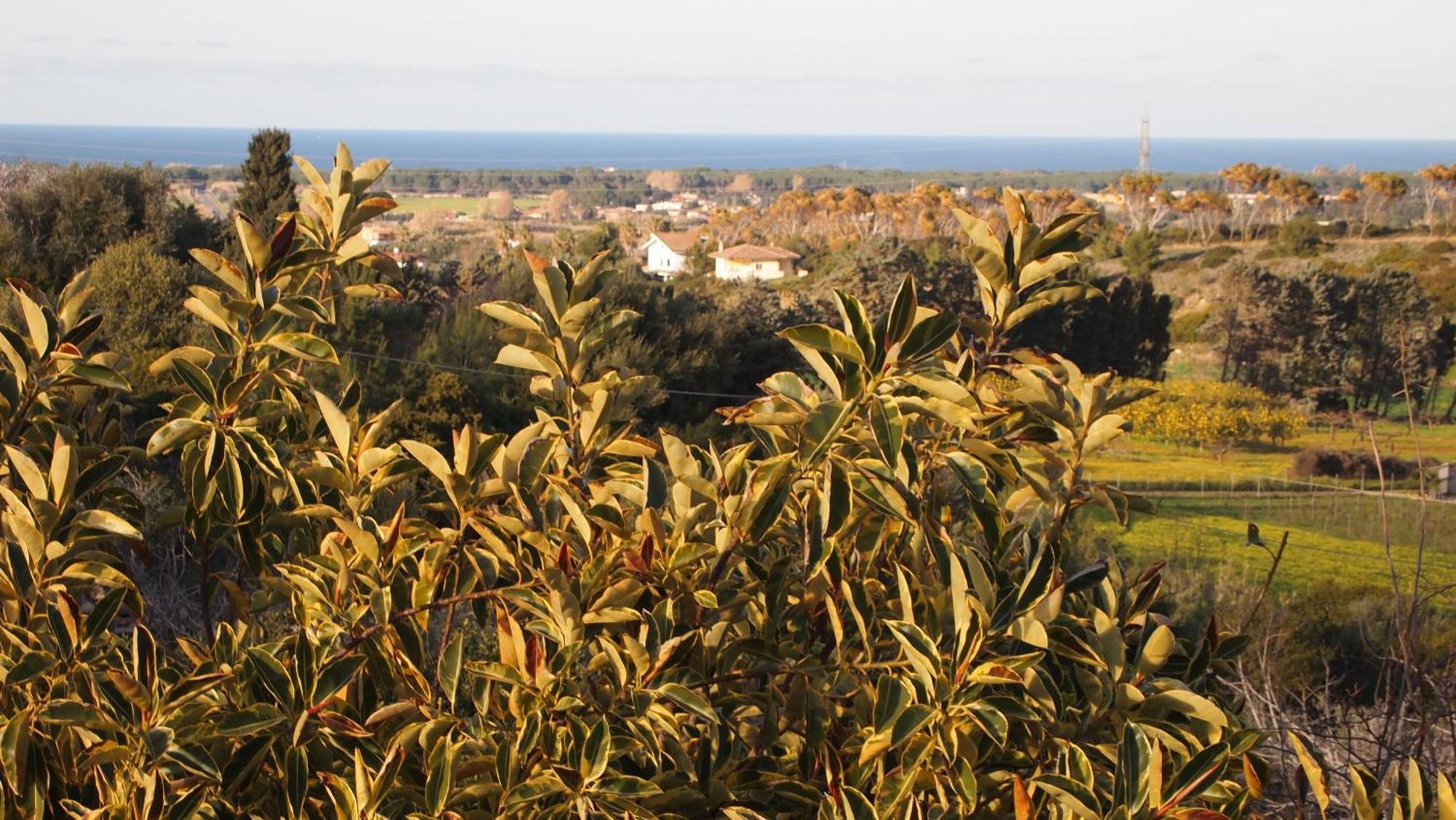 Asinara Sassari Exterior foto