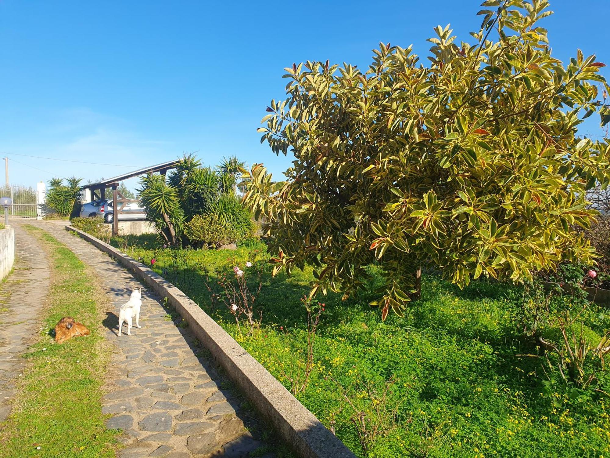 Asinara Sassari Exterior foto